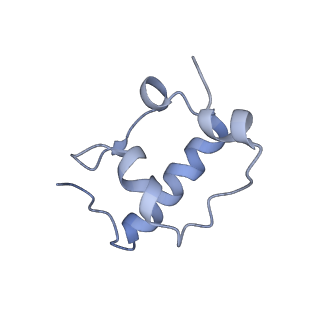 18558_8qpp_R_v1-3
Bacillus subtilis MutS2-collided disome complex (stalled 70S)