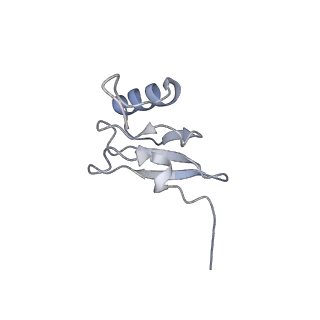 18558_8qpp_S_v1-2
Bacillus subtilis MutS2-collided disome complex (stalled 70S)