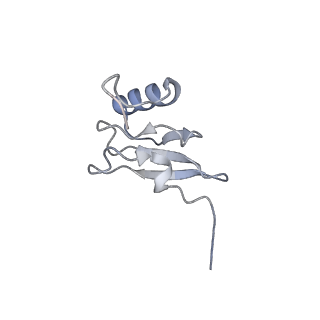 18558_8qpp_S_v1-3
Bacillus subtilis MutS2-collided disome complex (stalled 70S)