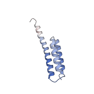 18558_8qpp_T_v1-2
Bacillus subtilis MutS2-collided disome complex (stalled 70S)