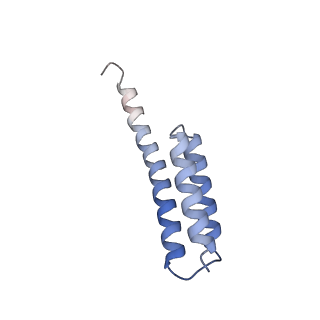 18558_8qpp_T_v1-3
Bacillus subtilis MutS2-collided disome complex (stalled 70S)
