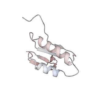 18558_8qpp_W_v1-2
Bacillus subtilis MutS2-collided disome complex (stalled 70S)