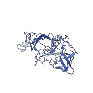 18558_8qpp_Z_v1-2
Bacillus subtilis MutS2-collided disome complex (stalled 70S)