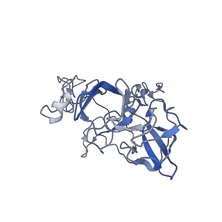 18558_8qpp_Z_v1-3
Bacillus subtilis MutS2-collided disome complex (stalled 70S)