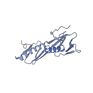 18558_8qpp_d_v1-3
Bacillus subtilis MutS2-collided disome complex (stalled 70S)