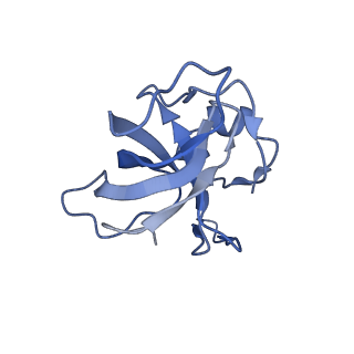 18558_8qpp_f_v1-2
Bacillus subtilis MutS2-collided disome complex (stalled 70S)
