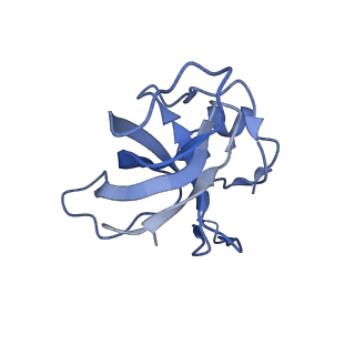 18558_8qpp_f_v1-3
Bacillus subtilis MutS2-collided disome complex (stalled 70S)