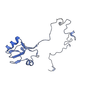 18558_8qpp_i_v1-2
Bacillus subtilis MutS2-collided disome complex (stalled 70S)