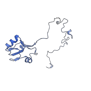 18558_8qpp_i_v1-3
Bacillus subtilis MutS2-collided disome complex (stalled 70S)