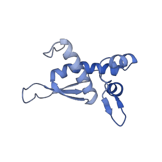 18558_8qpp_k_v1-3
Bacillus subtilis MutS2-collided disome complex (stalled 70S)