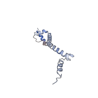 18558_8qpp_n_v1-2
Bacillus subtilis MutS2-collided disome complex (stalled 70S)