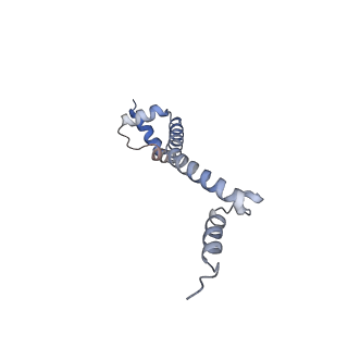 18558_8qpp_n_v1-3
Bacillus subtilis MutS2-collided disome complex (stalled 70S)