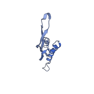 18558_8qpp_r_v1-2
Bacillus subtilis MutS2-collided disome complex (stalled 70S)