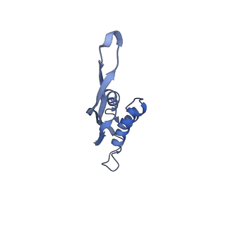 18558_8qpp_r_v1-3
Bacillus subtilis MutS2-collided disome complex (stalled 70S)