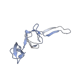 18558_8qpp_t_v1-2
Bacillus subtilis MutS2-collided disome complex (stalled 70S)