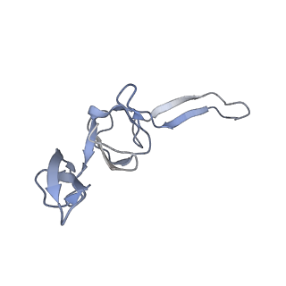 18558_8qpp_t_v1-3
Bacillus subtilis MutS2-collided disome complex (stalled 70S)