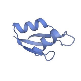 18558_8qpp_x_v1-3
Bacillus subtilis MutS2-collided disome complex (stalled 70S)