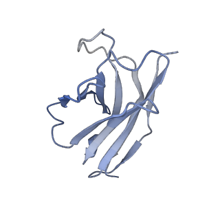 18560_8qpr_E_v1-0
SARS-CoV-2 S protein bound to human neutralising antibody UZGENT_G5