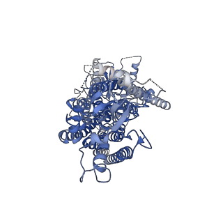 4611_6qp6_B_v1-1
Cryo-EM structure of calcium-bound mTMEM16F lipid scramblase in digitonin