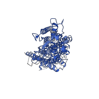 4612_6qpb_A_v1-1
Cryo-EM structure of calcium-free mTMEM16F lipid scramblase in digitonin