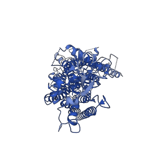 4612_6qpb_B_v1-1
Cryo-EM structure of calcium-free mTMEM16F lipid scramblase in digitonin