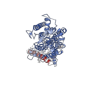 4613_6qpc_A_v1-1
Cryo-EM structure of calcium-bound mTMEM16F lipid scramblase in nanodisc