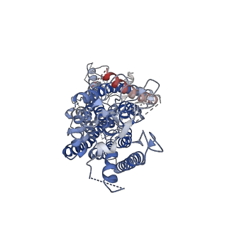 4613_6qpc_B_v1-1
Cryo-EM structure of calcium-bound mTMEM16F lipid scramblase in nanodisc