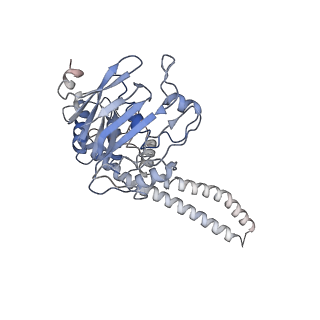 4616_6qpw_C_v1-2
Structural basis of cohesin ring opening