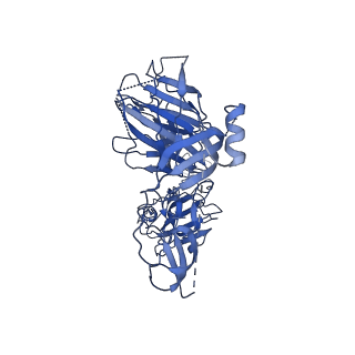18571_8qq0_A_v1-0
SARS-CoV-2 S protein bound to neutralising antibody UZGENT_A3