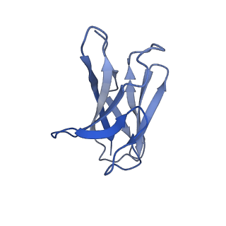 18571_8qq0_D_v1-0
SARS-CoV-2 S protein bound to neutralising antibody UZGENT_A3