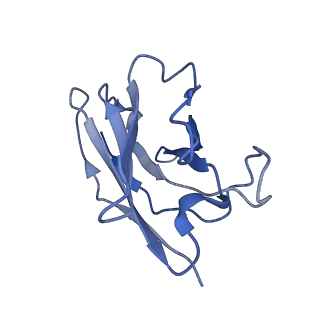 18571_8qq0_E_v1-0
SARS-CoV-2 S protein bound to neutralising antibody UZGENT_A3