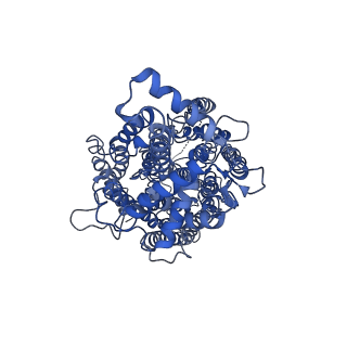 4618_6qq5_A_v1-2
Cryo-EM structure of dimeric quinol dependent nitric oxide reductase (qNOR) from Alcaligenes xylosoxidans