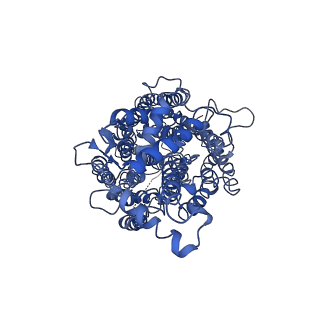 4618_6qq5_B_v1-2
Cryo-EM structure of dimeric quinol dependent nitric oxide reductase (qNOR) from Alcaligenes xylosoxidans