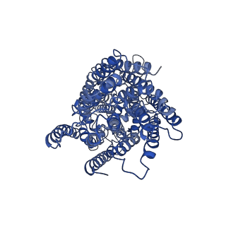 4619_6qq6_A_v1-2
Cryo-EM structure of dimeric quinol dependent nitric oxide reductase (qNOR) Val495Ala mutant from Alcaligenes xylosoxidans