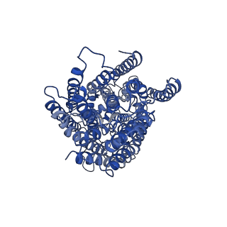 4619_6qq6_B_v1-2
Cryo-EM structure of dimeric quinol dependent nitric oxide reductase (qNOR) Val495Ala mutant from Alcaligenes xylosoxidans