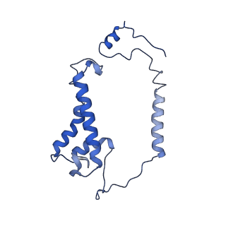 14123_7qrm_B_v1-0
Cryo-EM structure of catalytically active Spinacia oleracea cytochrome b6f in complex with endogenous plastoquinones at 2.7 A resolution