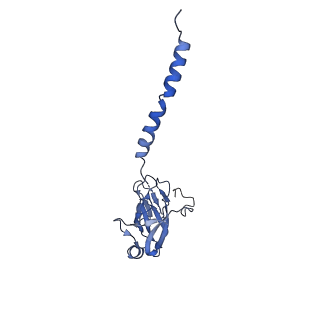 14123_7qrm_D_v1-0
Cryo-EM structure of catalytically active Spinacia oleracea cytochrome b6f in complex with endogenous plastoquinones at 2.7 A resolution