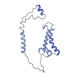 14123_7qrm_J_v1-0
Cryo-EM structure of catalytically active Spinacia oleracea cytochrome b6f in complex with endogenous plastoquinones at 2.7 A resolution