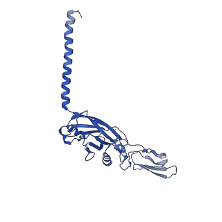 14123_7qrm_K_v1-0
Cryo-EM structure of catalytically active Spinacia oleracea cytochrome b6f in complex with endogenous plastoquinones at 2.7 A resolution
