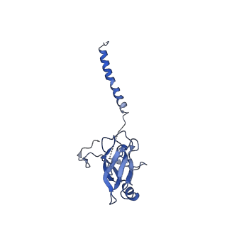 14123_7qrm_L_v1-0
Cryo-EM structure of catalytically active Spinacia oleracea cytochrome b6f in complex with endogenous plastoquinones at 2.7 A resolution