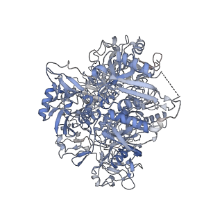 14077_7qsr_A_v1-1
CryoEM structure of the Ectodomain of Human PLA2R