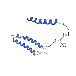 14132_7qsk_A_v1-1
Bovine complex I in lipid nanodisc, Active-Q10