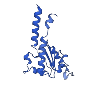14132_7qsk_B_v1-1
Bovine complex I in lipid nanodisc, Active-Q10