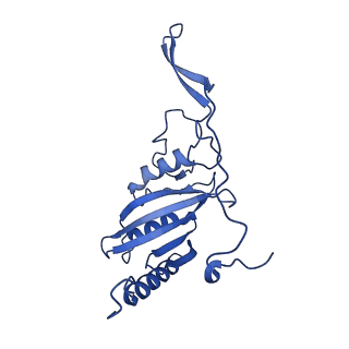 14132_7qsk_C_v1-1
Bovine complex I in lipid nanodisc, Active-Q10
