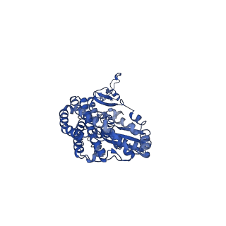 14132_7qsk_D_v1-1
Bovine complex I in lipid nanodisc, Active-Q10