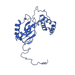 14132_7qsk_E_v1-1
Bovine complex I in lipid nanodisc, Active-Q10