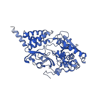 14132_7qsk_F_v1-1
Bovine complex I in lipid nanodisc, Active-Q10