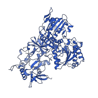 14132_7qsk_G_v1-1
Bovine complex I in lipid nanodisc, Active-Q10
