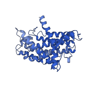 14132_7qsk_H_v1-1
Bovine complex I in lipid nanodisc, Active-Q10