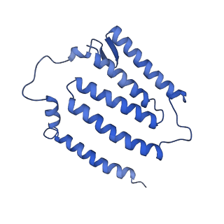 14132_7qsk_J_v1-1
Bovine complex I in lipid nanodisc, Active-Q10